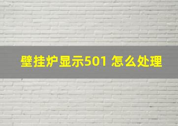 壁挂炉显示501 怎么处理